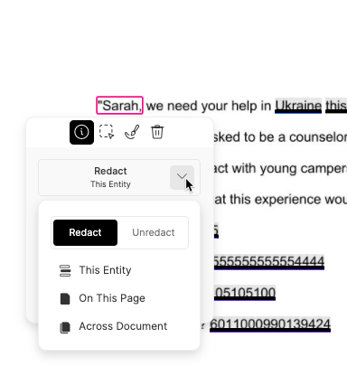 redaction_options.png